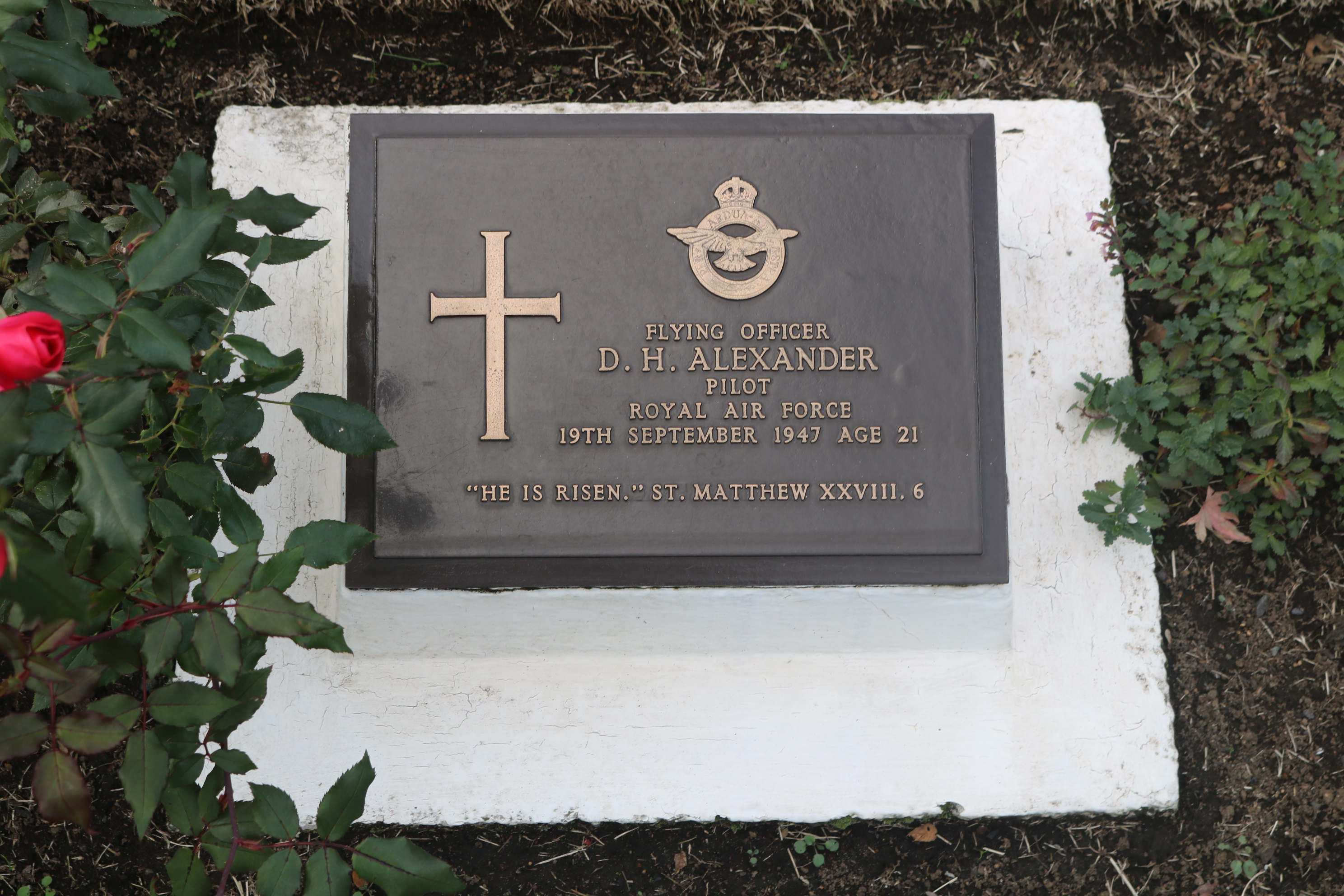 12970241_1483440741 (1)