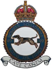 49_squadron_emblem